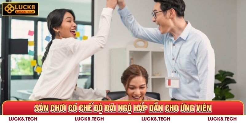 Luck8 có chế độ đãi ngộ hấp dẫn cho ứng viên